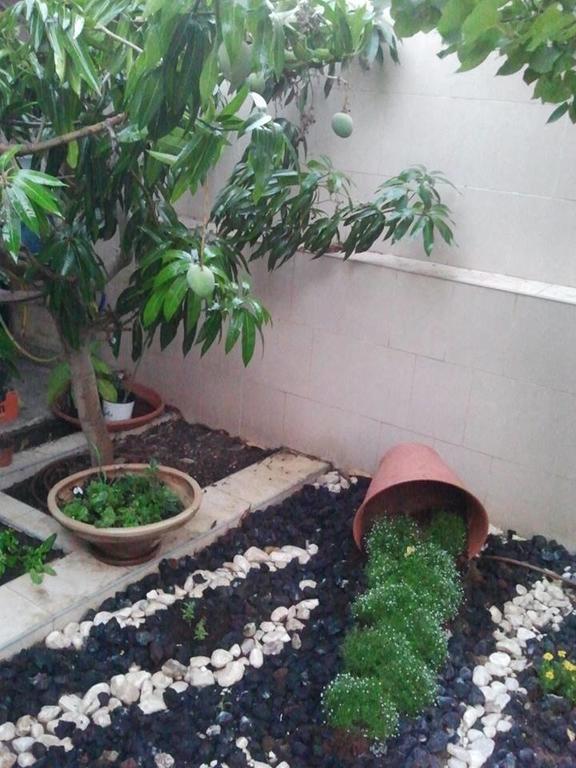 Guest House Ashdod-Beach Ngoại thất bức ảnh